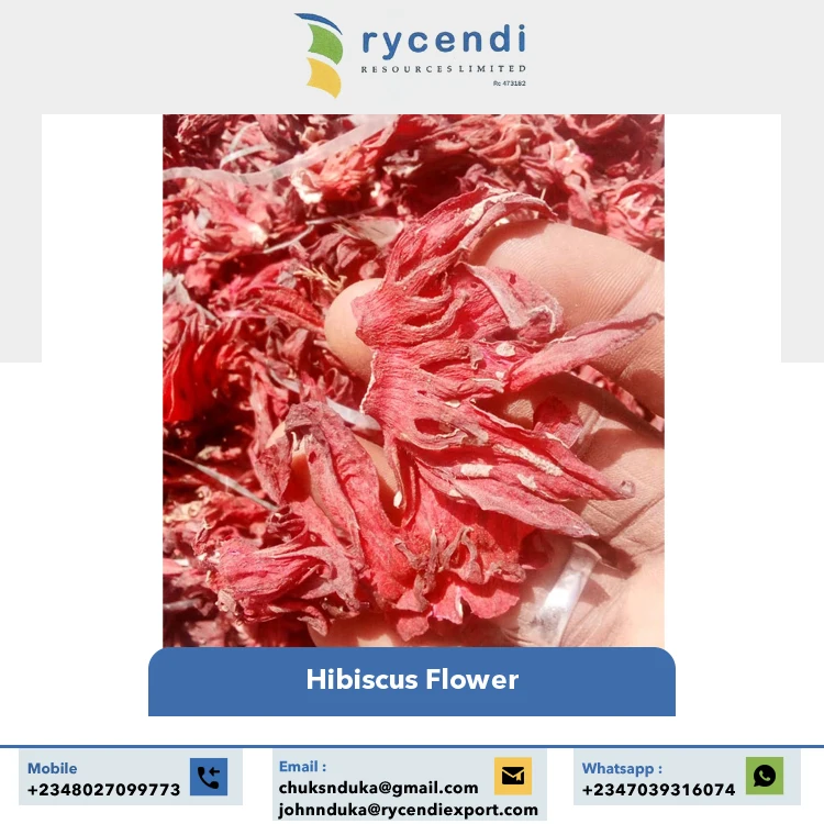 Real Natural Pleasant Taste Calcium Content 100% Clean & Dried Hibiscus Cut Fresh Flower at Wholesale Supply by Supplier