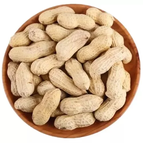 bulk raw peanuts in shell available for sale