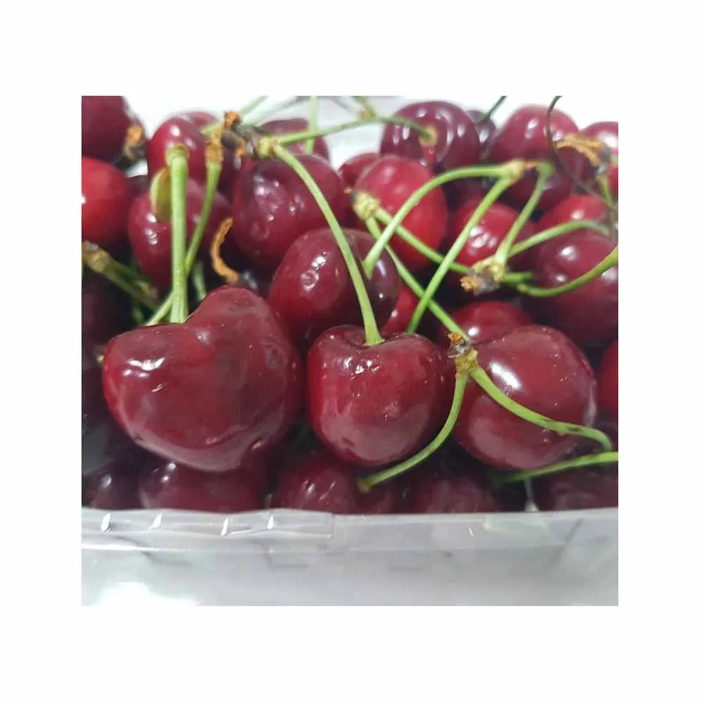 Dried Red Cherries Cherry Dried Fruits Manufacturer Supply Food Packaging Dried Fruit Cherry