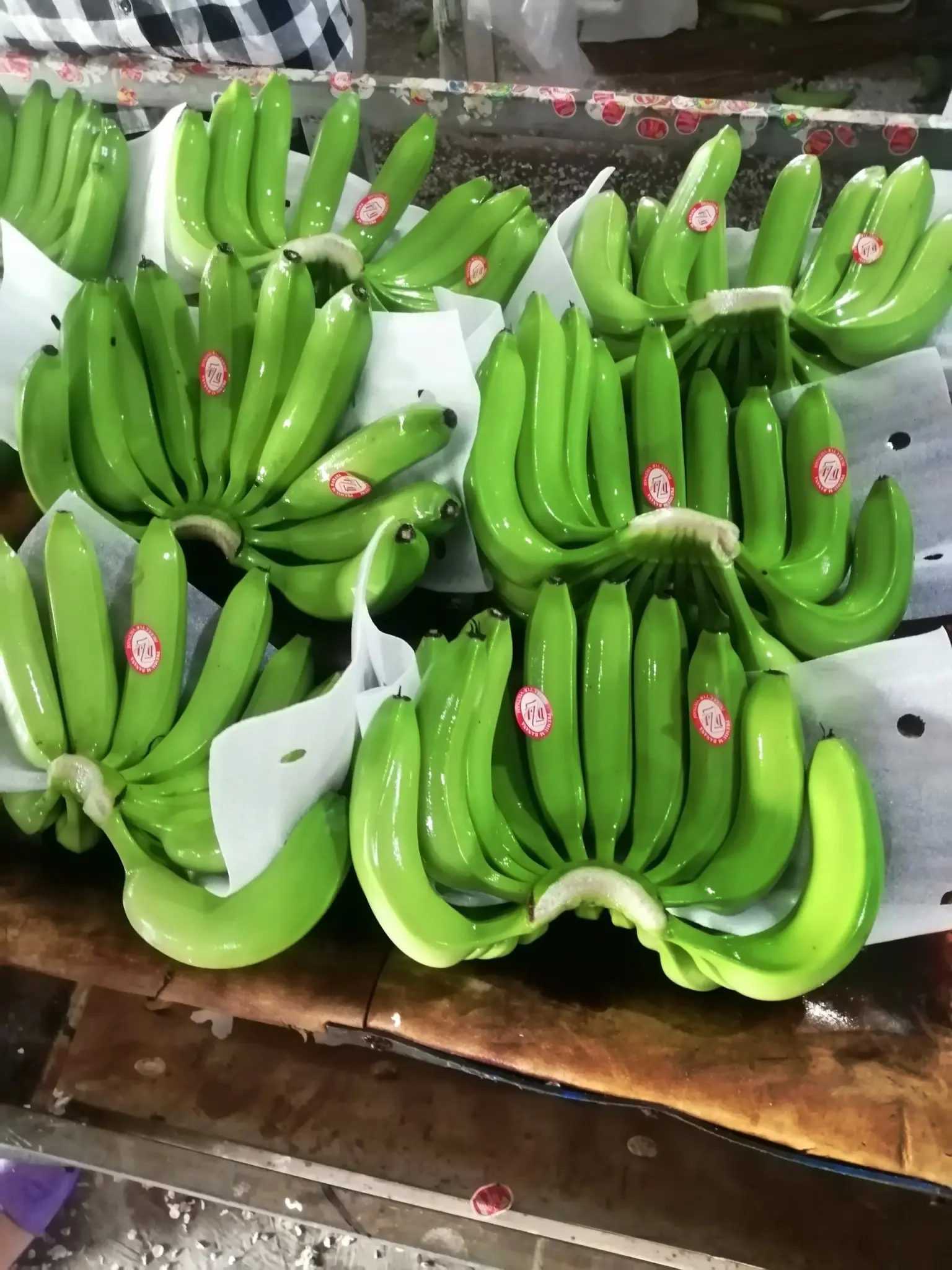 Best Product Vietnam Cavendish Bananas high quality