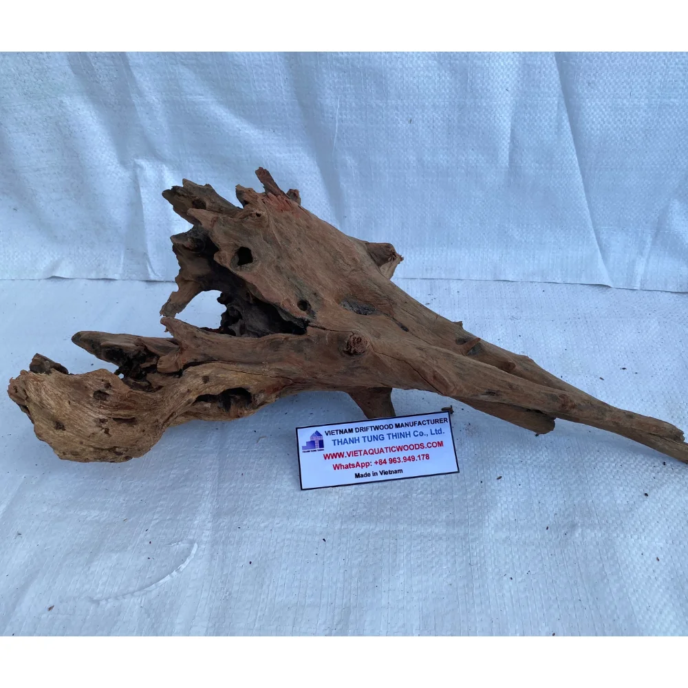 High quality Natural driftwood mangrove root and driftwood for aquarium decoration WhatsApp +84 963 949 178