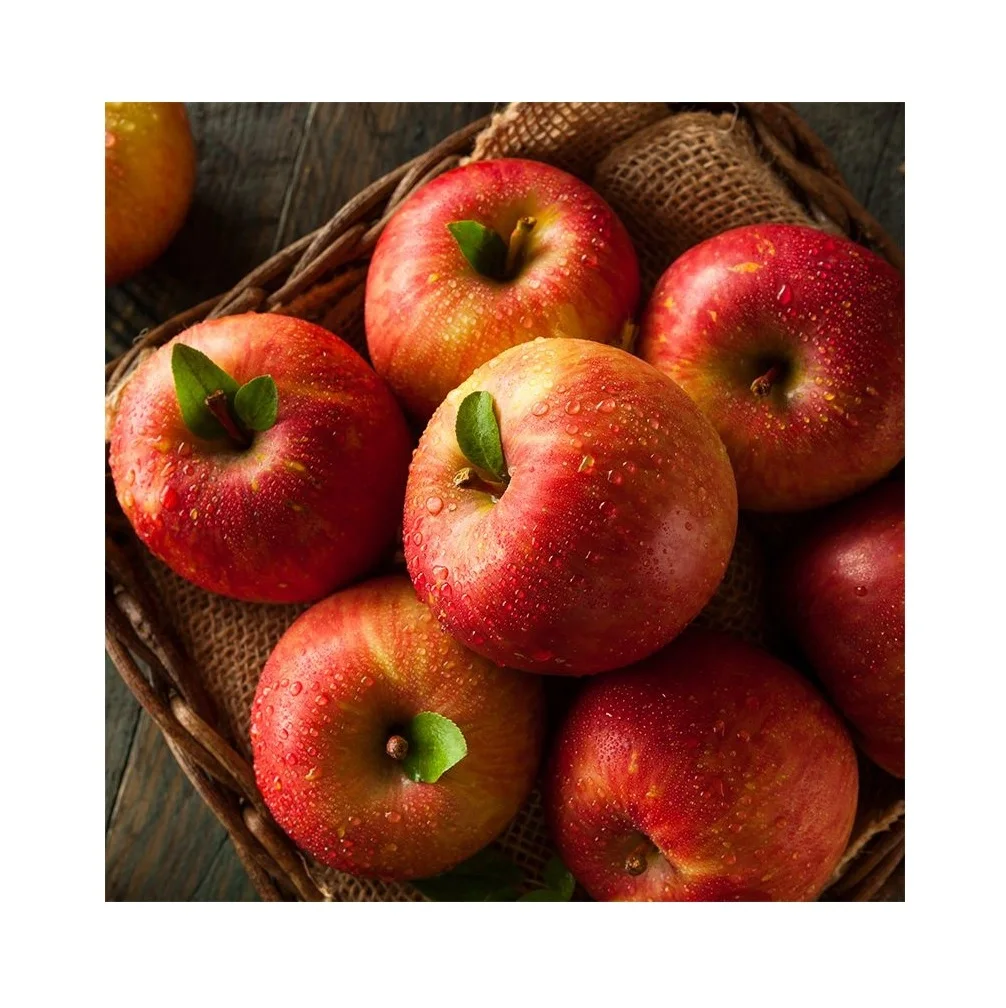 Fresh Fruit Apples Available at Cheapest Price In Bulk Stock