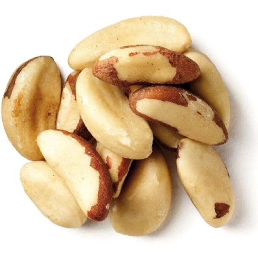 100% cheap price Brazil Nuts / Raw brazil nuts