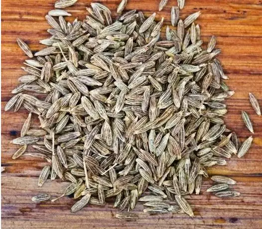 Top class Singapore Europe quality 99% cumin seed price from India