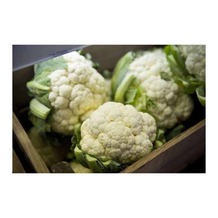 Top Quality Fresh Vegetables Cauliflower For Sale At Best Price