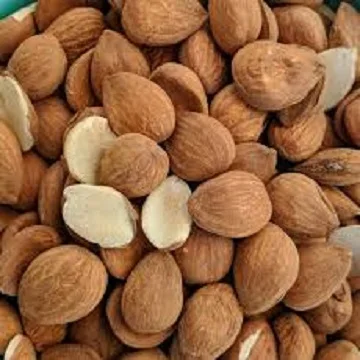 Good Tast Apricot kernel Bitter and Sweet Apricot kernels Nuts For Sale