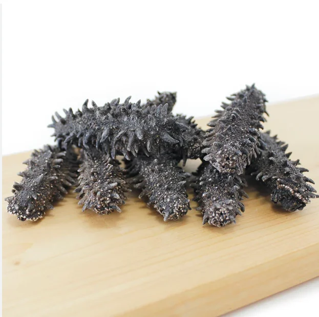 In Stock Dried Sea Cucumber Seafood Bulk Ready for Export Buy Now Wholesale Supplier Cheap Price