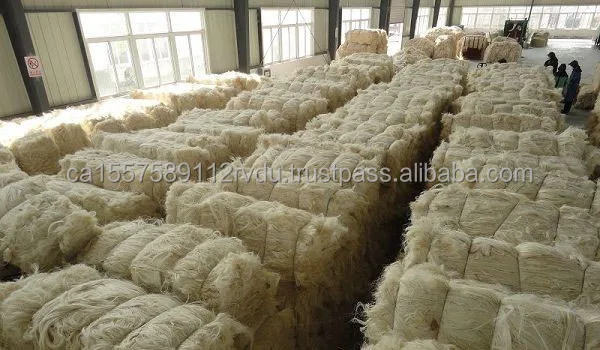SISAL-FIBER33.jpg