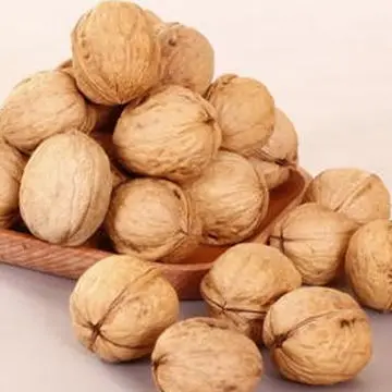 Walnut in shell Grade Wholesale Natural Bulk Large Walnut nut from Uzbekistan box Walnut in Shells for food
