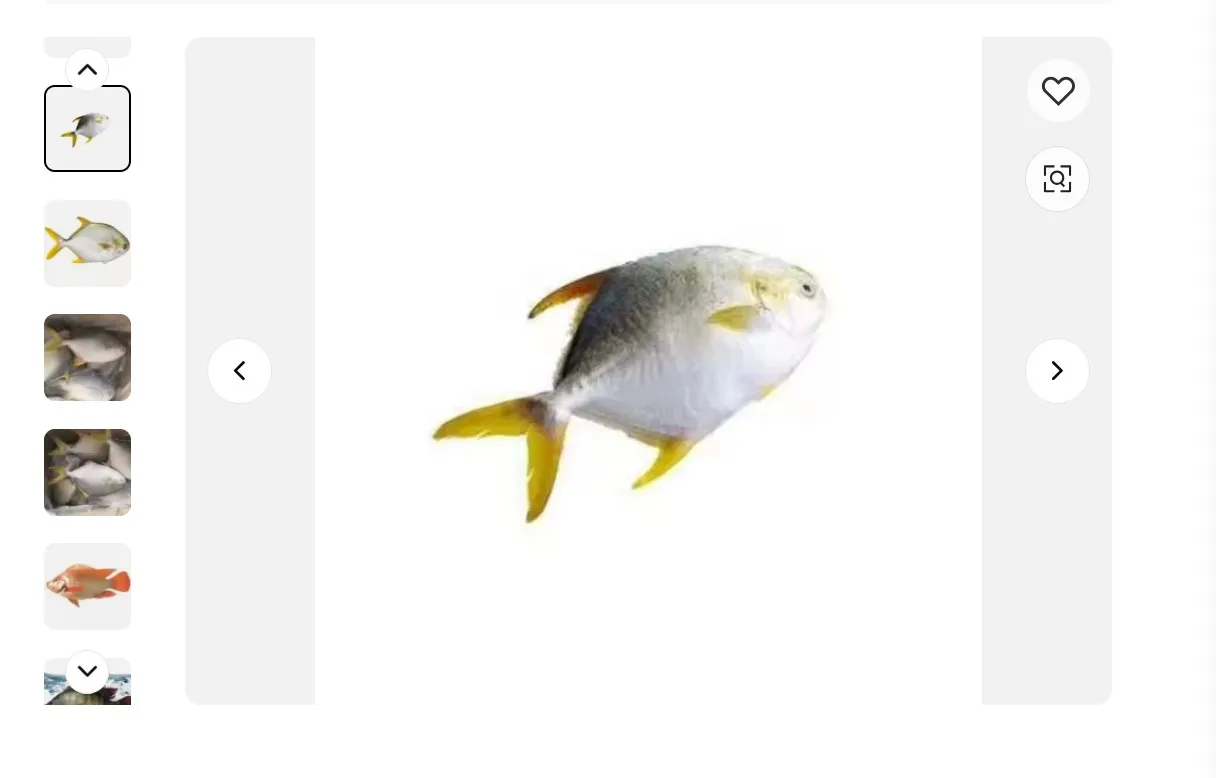 Pomfret whole round frozen golden pompano seafood 6 edition