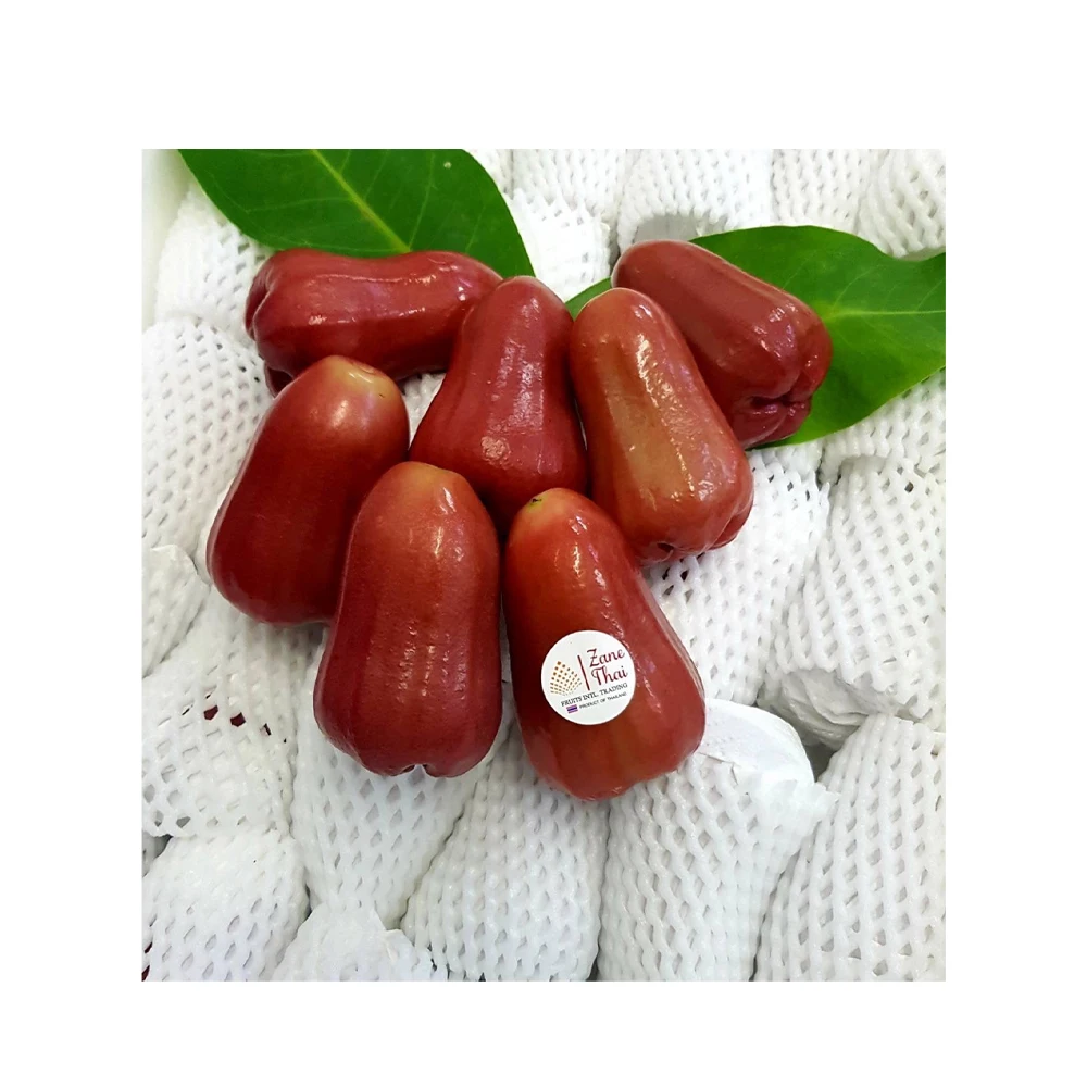 Thai Premium Fresh Rose apple  from Thailand Pink color with good taste Rose apple Fresh and premium