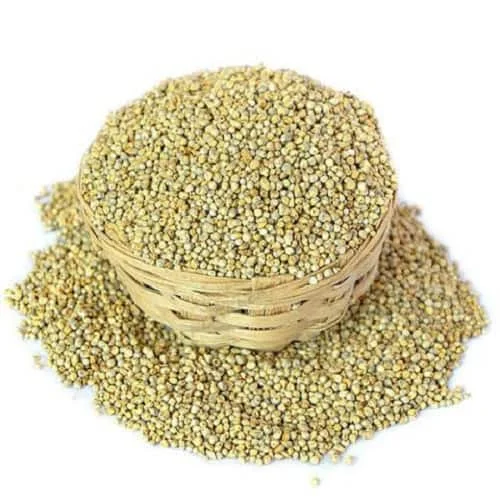 Premium grade Indian Green Millet animal feeds exporter From India