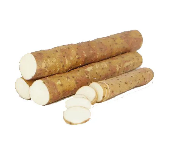 Wholesale  New crop of Chinese fresh burdock root wholesale price vacuum pack.