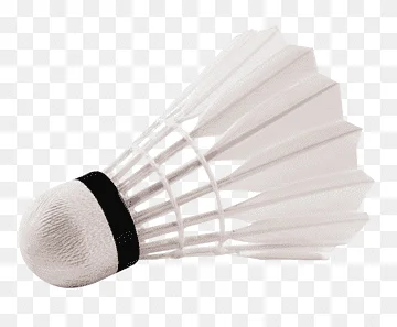 High Quality Customized White Badminton Shuttlecock Best Quality Goose Feather Nylon Duck Cork Sea Head Logo Pack PCS Sports