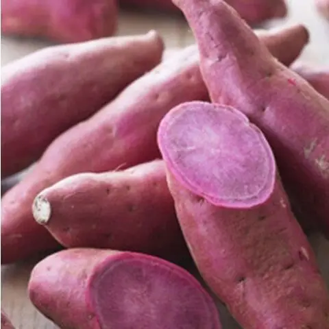 Organic Fresh Sweet Potatoes/Frozen Sweet Potato Chip