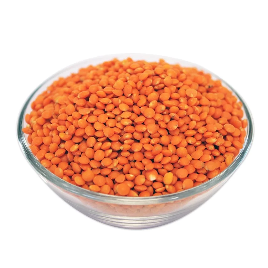 Organic Premium Grade Split Red Lentils Dried Chana Dal for Food Use Green Lentils Export Bulk
