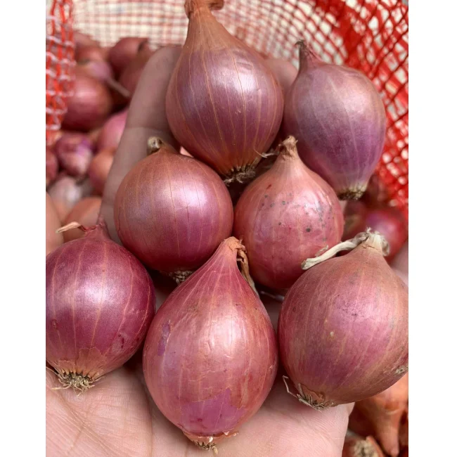 100% органический свежий красный лук натуральный вкус изготовлен из натурального свежего чеснока высокого