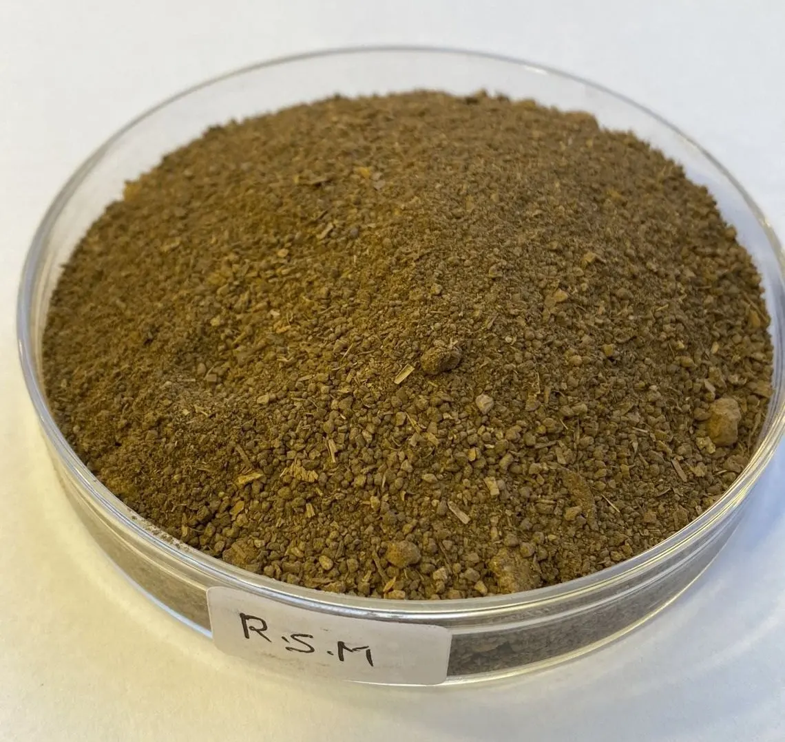 Rapeseed meal powder pure organic fertilizer for agricultural purpose rapeseed meal powder manufacturer from indian exporter