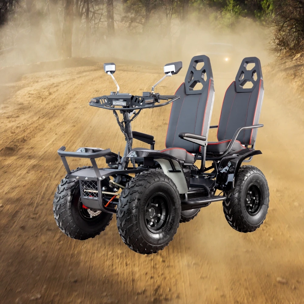 (QT-E01 B) Wholesale 6000W Mobility Scooters Electric 4 Wheel Travel New Car with Car Bumpers