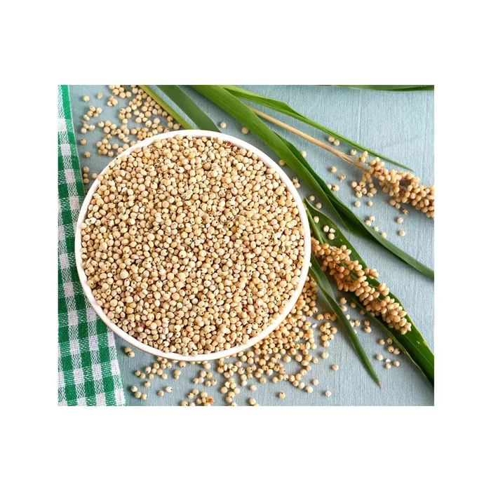 Best Quality Glutinous Red Sorghum For Human And Animal Consumption
