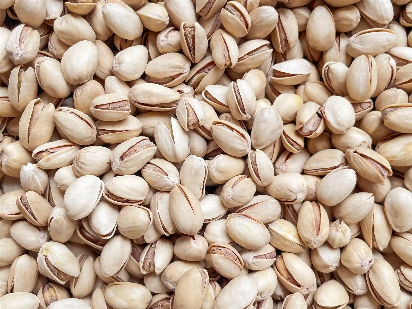 Wholesale Turkish Pistachio Nuts Pistachio Premium Style Packaging Food Origin Type Nut Pistachios Dried Grade