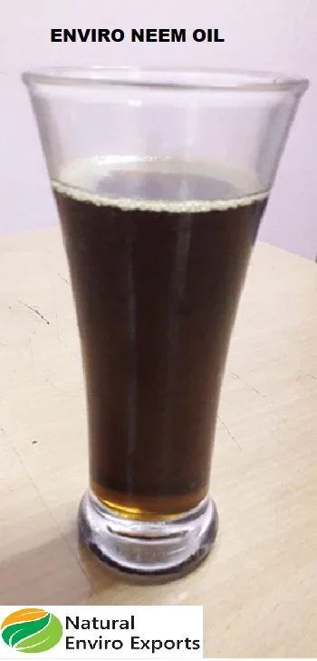 Organic Neem Seed Oil Extracted by Cold Press Method used for Agricultural and Health Care Purposes; Neem Seed Oil at Low Cost