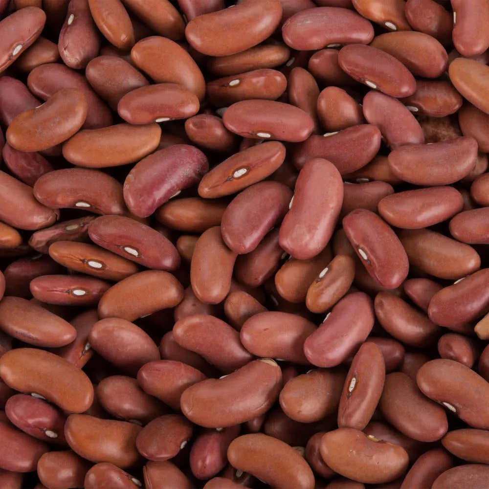 Buy Export High Quality Organic Red Beans at Factory Price Organic Natural Red Beans Perfect for Healthy Living