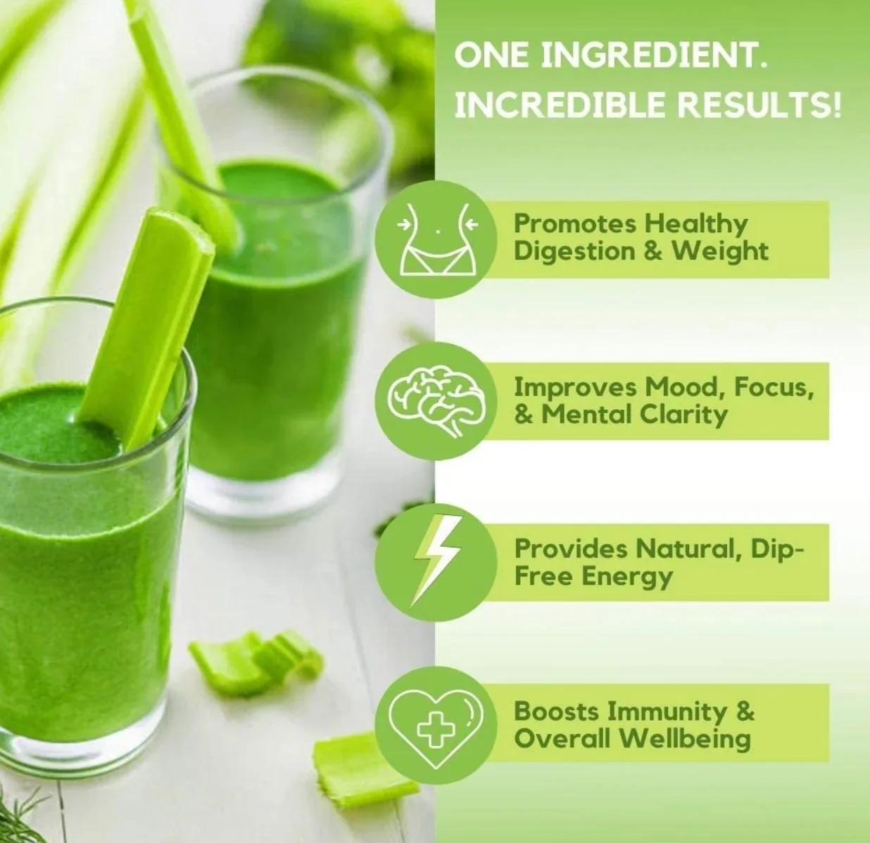 FREEZE DRIED CELERY JUICE POWDER EXTRACT FROM BLUE LOTUS in VIETNAM