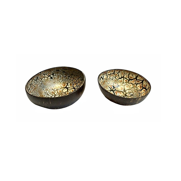 Wholesale eco-friendly thailand coconut bowls vietnam handcrafted coconut bowl sets for tableware