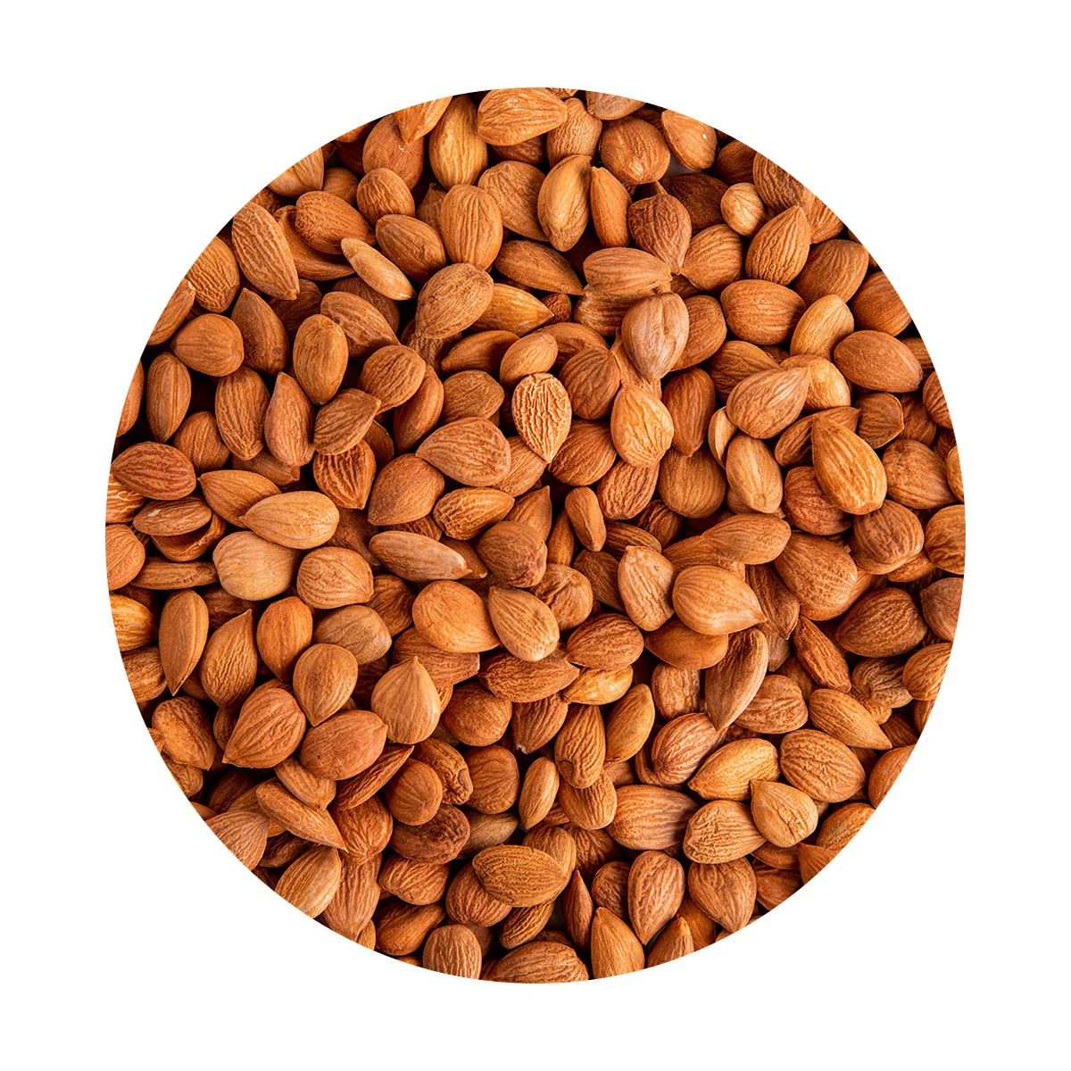 Apricot kernels rich in proteins polyunsaturated fats and beneficial nutrients amino acids wholesale