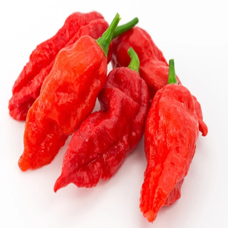 Best Cheap most selling suppliers of dried  red chili pepper from Thailand ISO certified premium quality