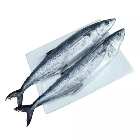 High Quality Seafood Whole Fish Horse Mackerel Frozen Pacific Mackerel Fish For Sale