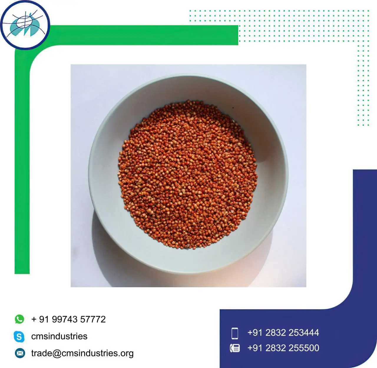 Sale on Most Demanded Quality Red Sorghum