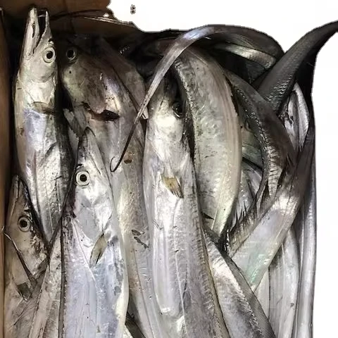 Хорошее количество индийского происхождения замороженная лента рыбы