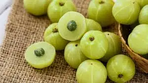 Manufacturer of Amla Powder from India Amla Powder Fights Free Radicals that Cause Aging and Skin Damage Suppliers From India