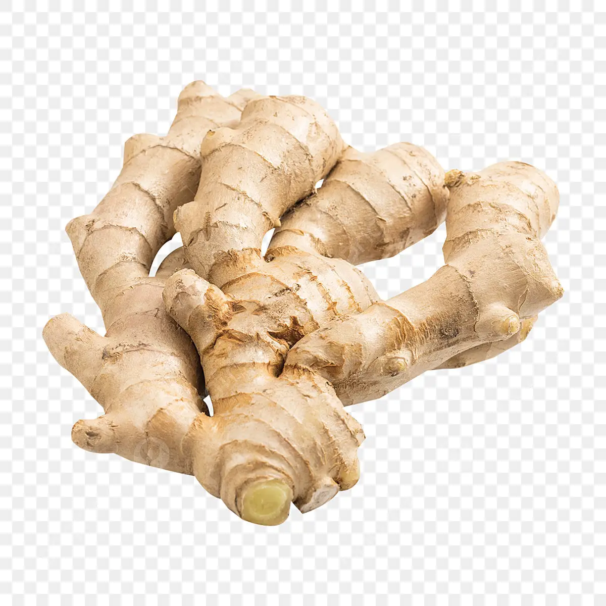 Cheap Price Vietnam Fresh Ginger Old Age Ginger Exporter Big Ginger Ready to Export from Vietnam