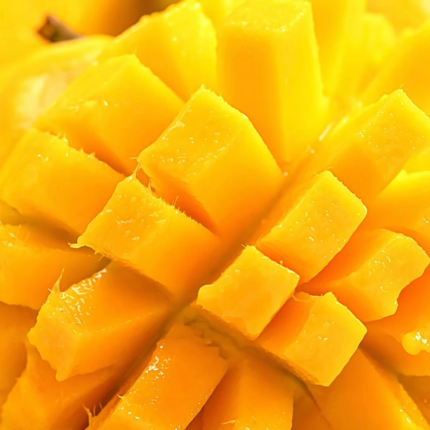 BEST TROPICAL FROZEN MANGO CUBES / PURE FLAVOR / COMPETITIVE PRICES ONLINE / MADE IN VIETNAM