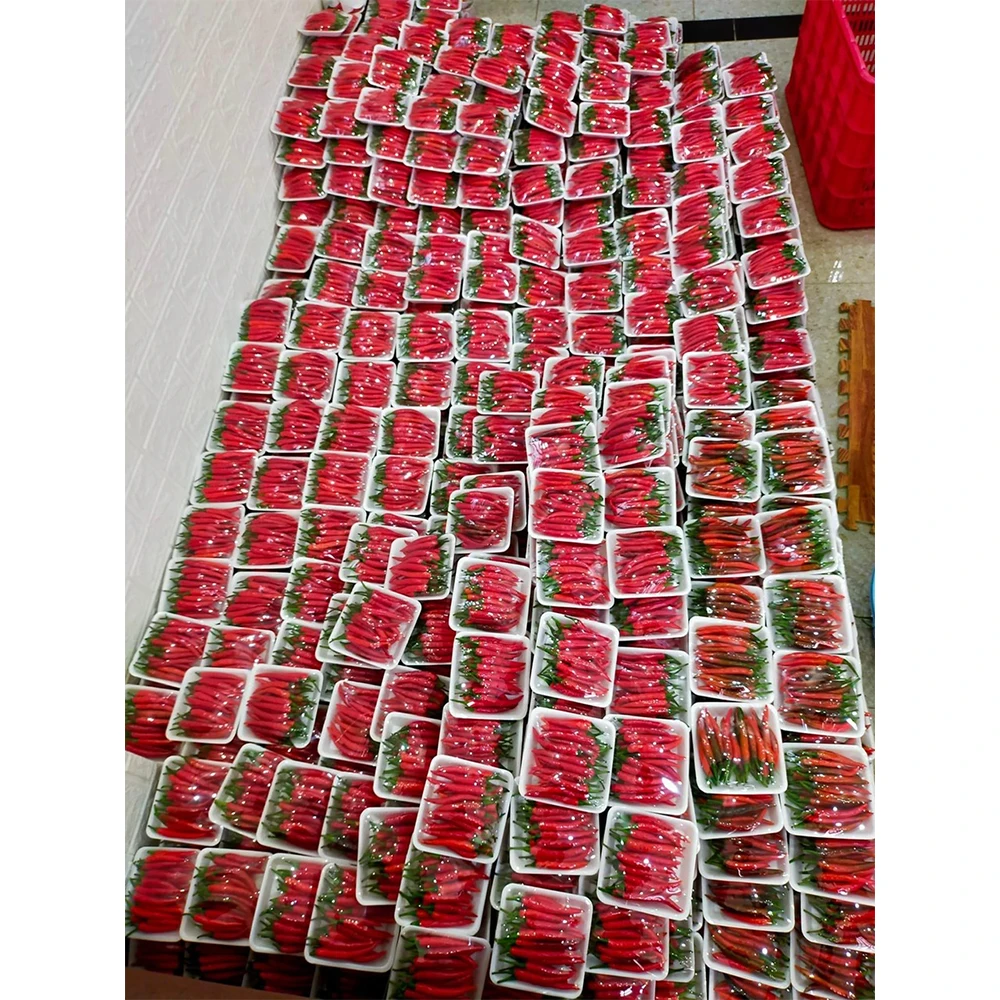 Made In Vietnam - Chili Pepper Wholesale Products Exporter Extract Fresh Vegetables From Farm Capsicum