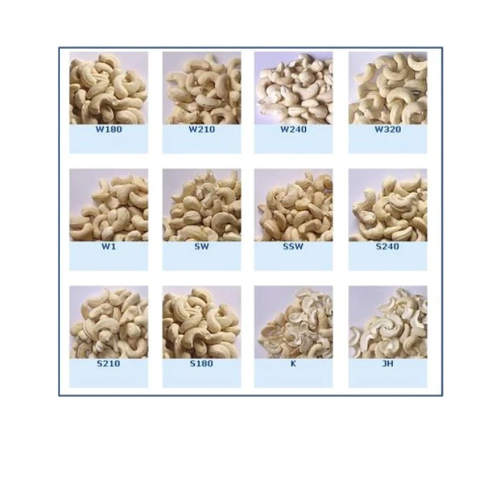 Premium Quality SP Cashew Vietnam Small Pieces Of Cashew Nuts But At Lowest Price