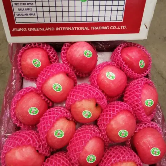 Quality  New Crop Natural Red Fuji Apple