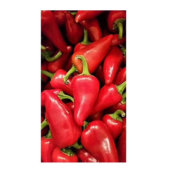 Fresh Red Chilli Pepper/ Dried Chili Seasoning Mixed Spices