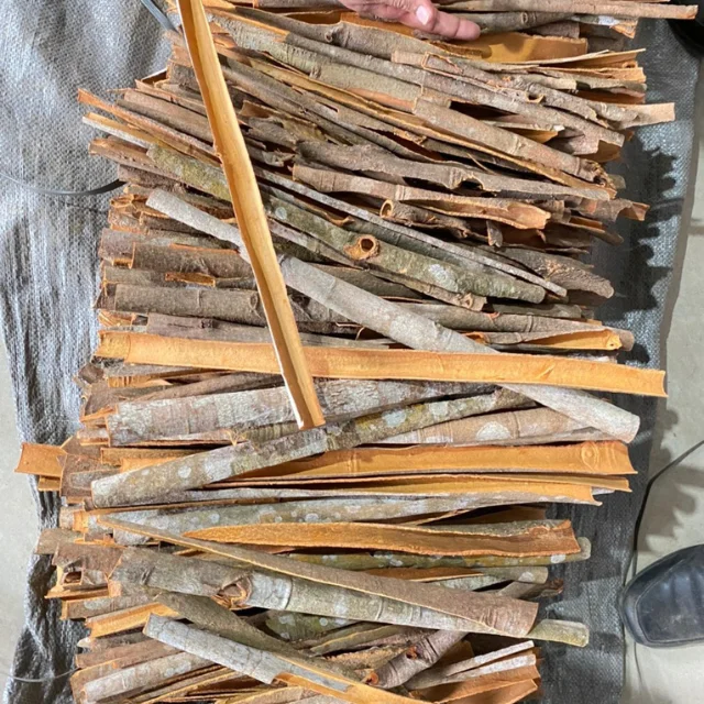 4 $/кг оптовая цена оригинальные сигареты кассии Yenbai Vietnam свяжитесь с бесплатным образцом мистер Тони + 84 938 736 924 whatsapp