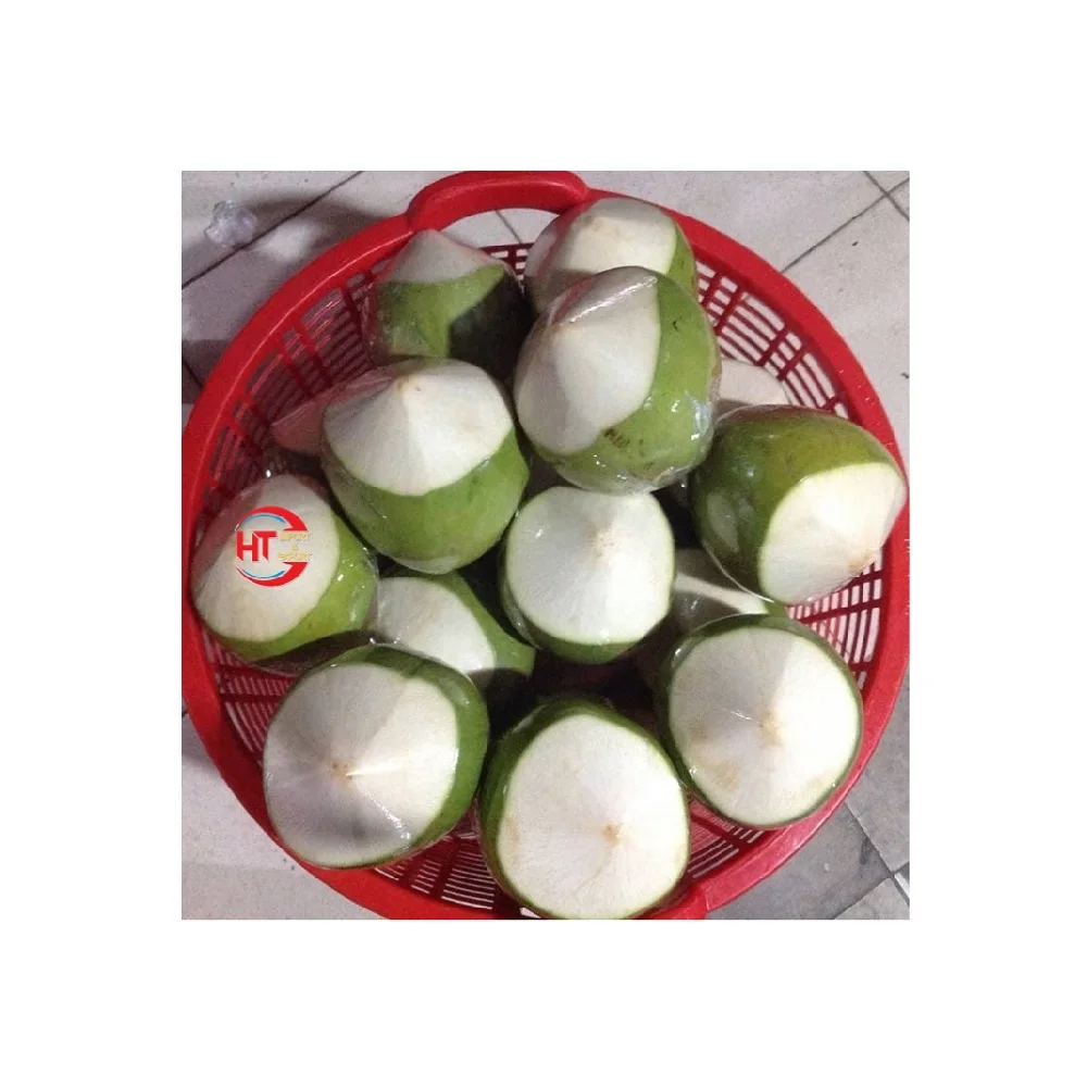 Organic Natural Sweet Diamond Top Cut Green Siamese Coconut (With Green Shell) Exported And Shipped From Vietnam