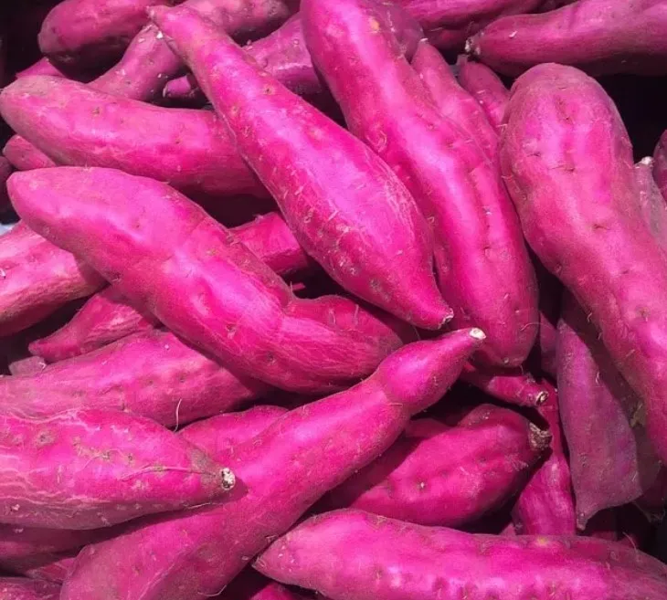 Низкая цена сладкий картофель продукции высокого качества из Вьетнама