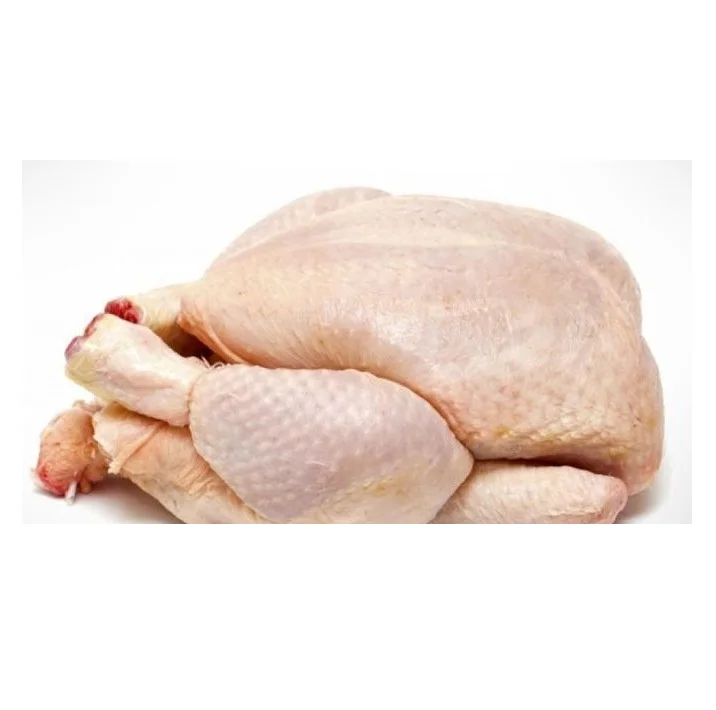 Whole Chicken Frozen / Halal Chicken Feet / Frozen Chicken Paws Brazil