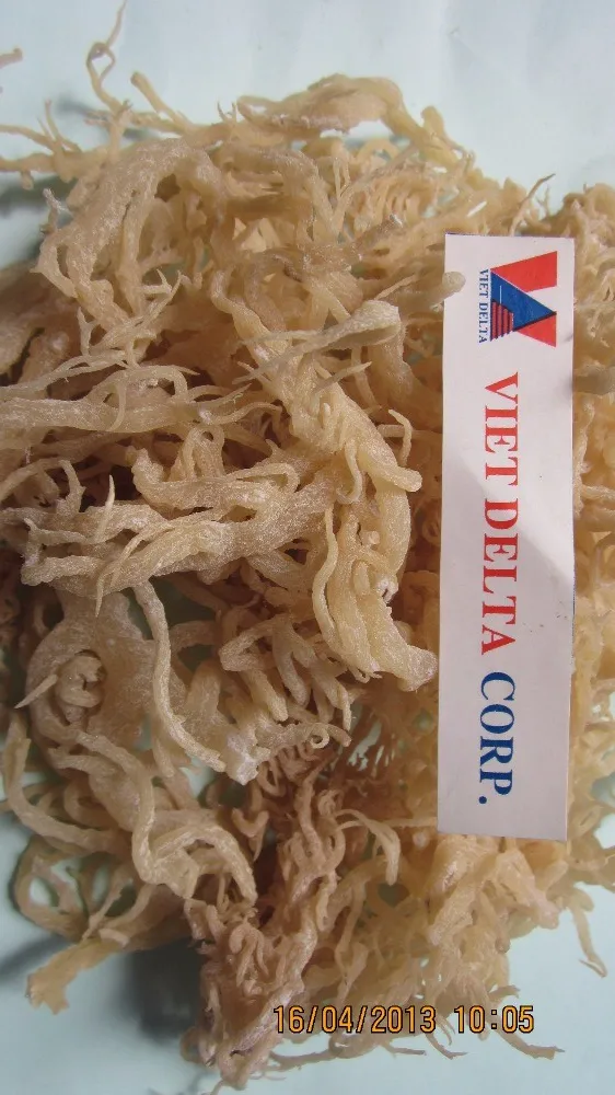 Натуральный сушеный морской мох Eucheuma Cottonii водоросли для продажи Akina по