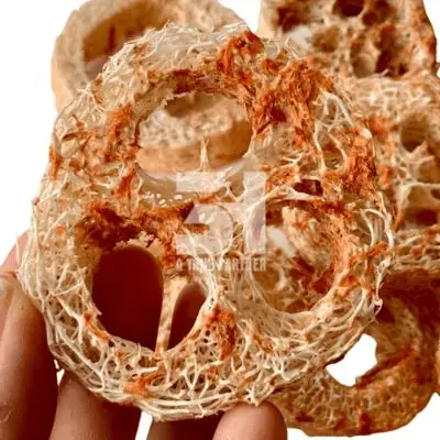 Natural Pet Chew Pet Toy Loofah 100% Natural With Many Shapes With High Quality Ms Nancy +84 981 85 90 69