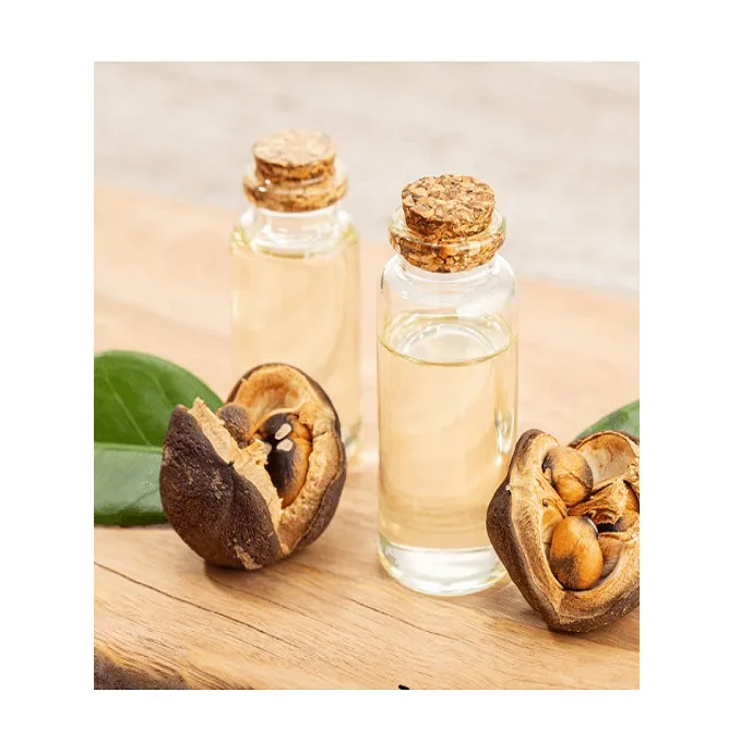 Natural Pure Wild Raw Camellia Seed High Quality Essential Oil Camellia Oil Tea Seed Oil For Sale