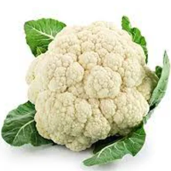 Cauliflower.png