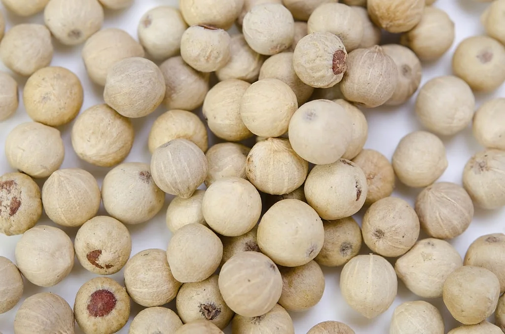 good Price pepper spices herbs products high quality white pepper